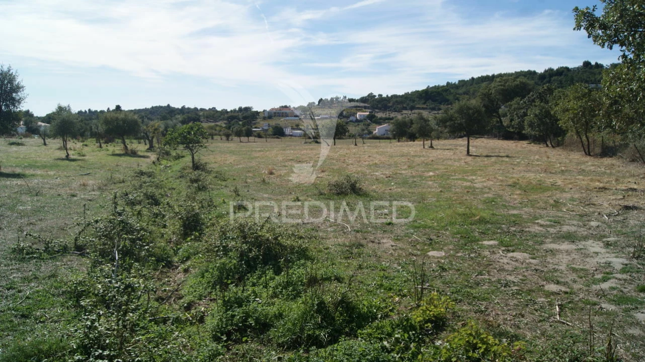 Terreno para Venda em Reguengo e São Julião Foto 10