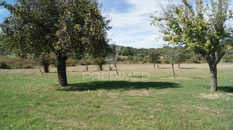 Terreno para Venda em Reguengo e São Julião Foto 20