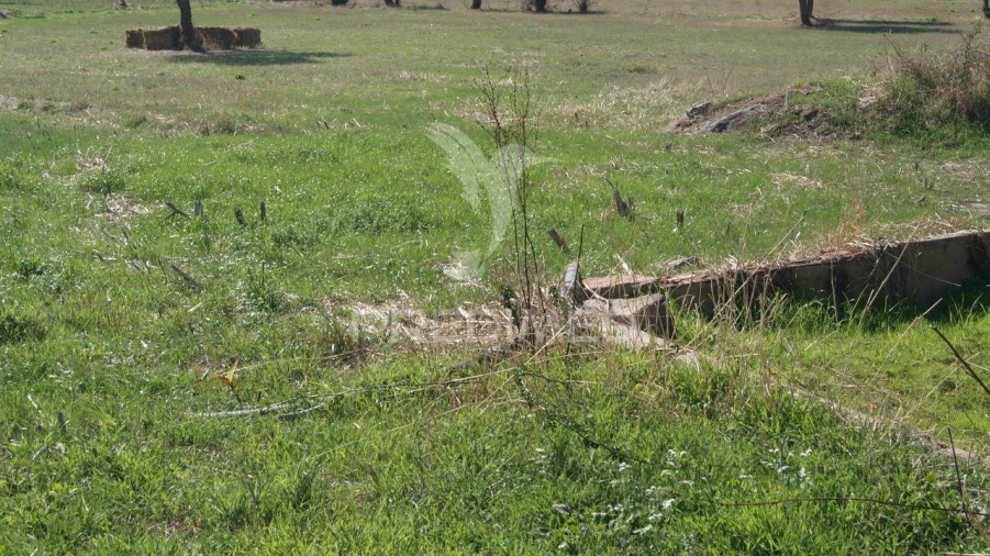 Terreno para Venda em Reguengo e São Julião Foto 15