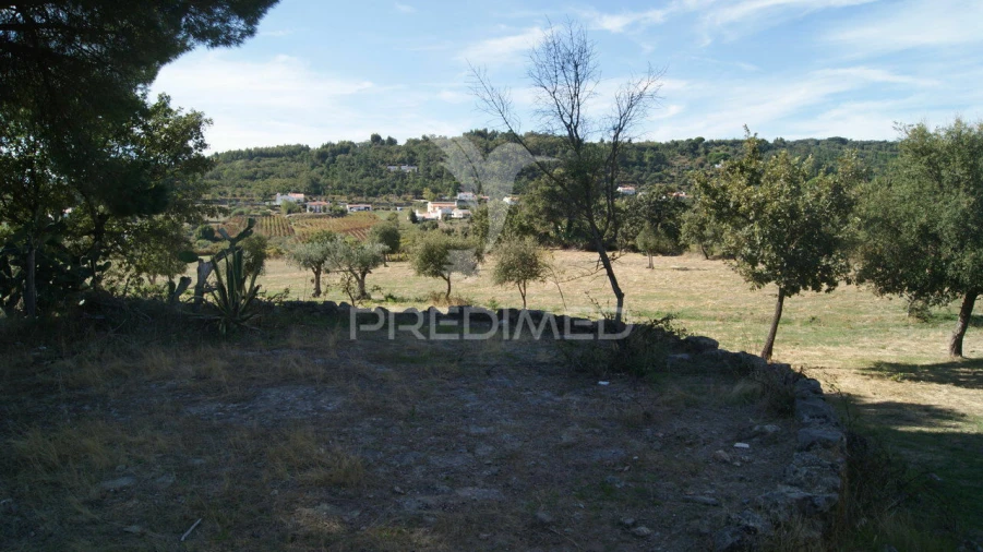Terreno para Venda em Reguengo e São Julião Foto 6