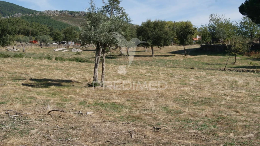 Terreno para Venda em Reguengo e São Julião Foto 12