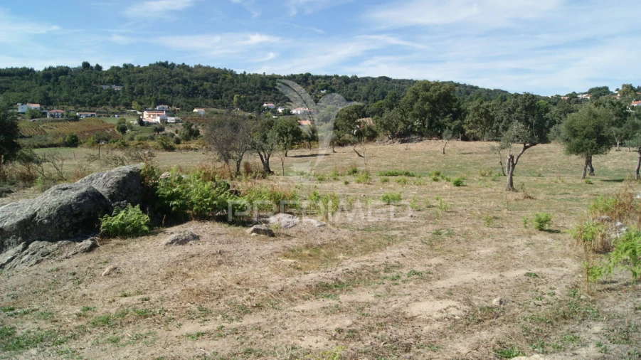 Terreno para Venda em Reguengo e São Julião Foto 4