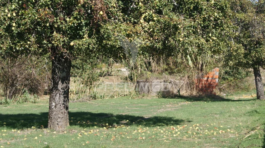 Terreno para Venda em Reguengo e São Julião Foto 18