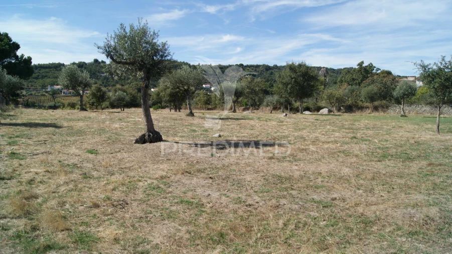 Terreno para Venda em Reguengo e São Julião Foto 9