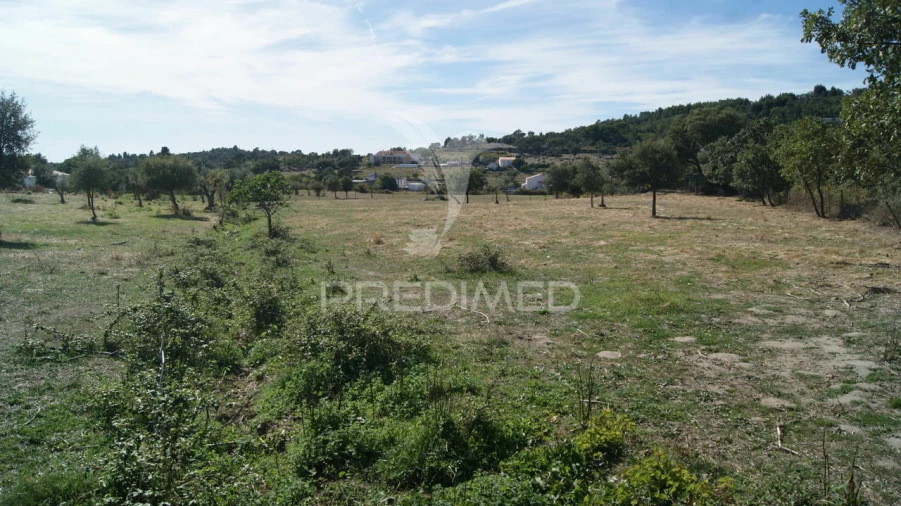 Terreno para Venda em Reguengo e São Julião Foto 10