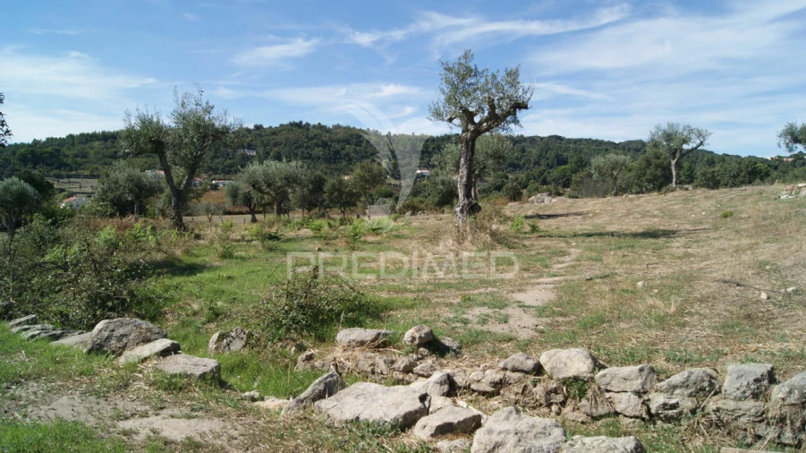 Terreno para Venda em Reguengo e São Julião Foto 3