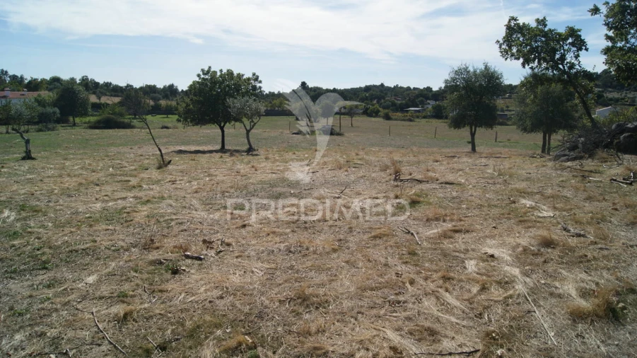 Terreno para Venda em Reguengo e São Julião Foto 11
