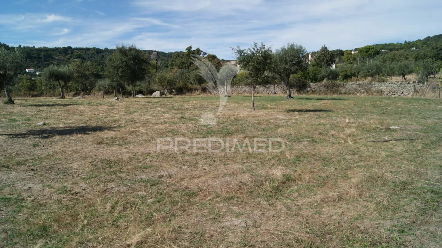 Terreno para Venda em Reguengo e São Julião Foto 8