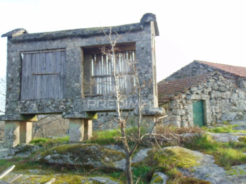 Moradia T3 para Venda em São Tomé do Castelo e Justes Foto 24