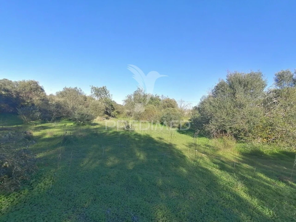 Terreno para Venda em Moncarapacho e Fuseta Foto 1