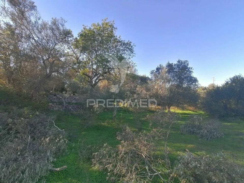 Terreno para Venda em Moncarapacho e Fuseta Foto 5