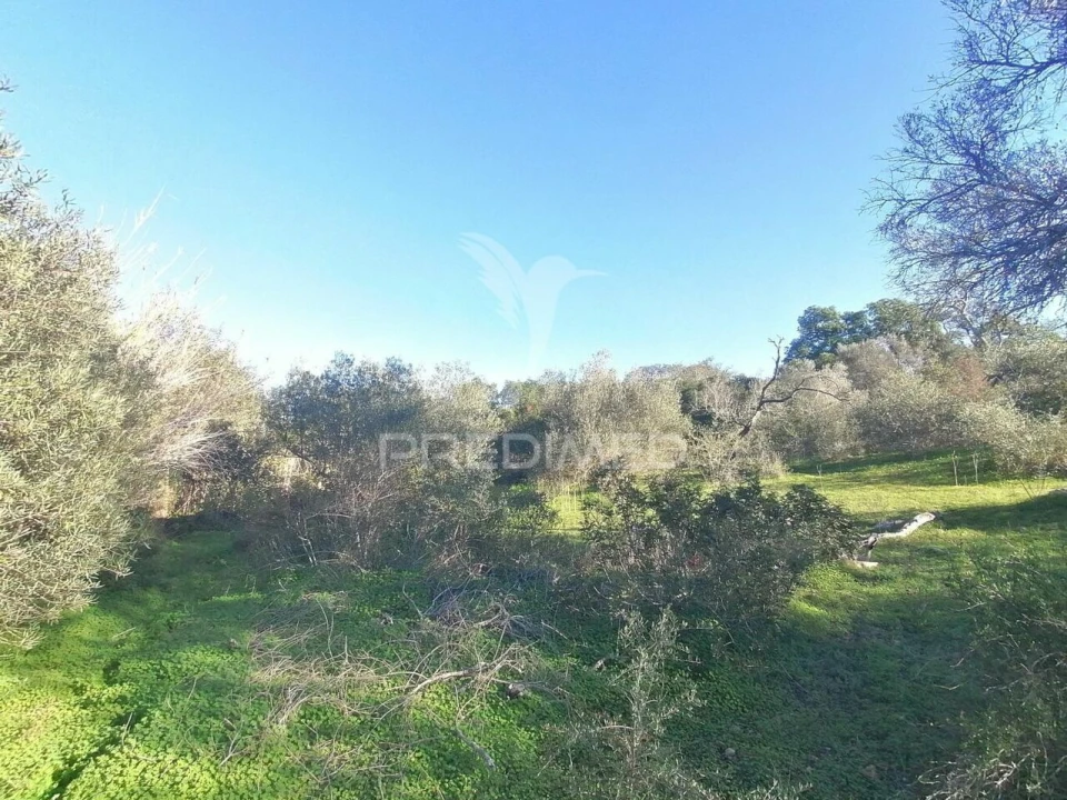 Terreno para Venda em Moncarapacho e Fuseta Foto 2