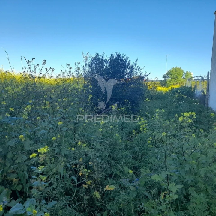 Terreno para Arrendamento em Faro (Sé e São Pedro) Foto 4