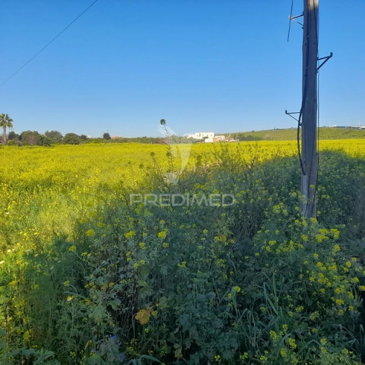 Terreno para Arrendamento em Faro (Sé e São Pedro) Foto 2