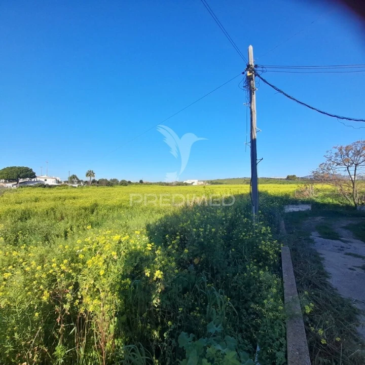 Terreno para Arrendamento em Faro (Sé e São Pedro) Foto 3