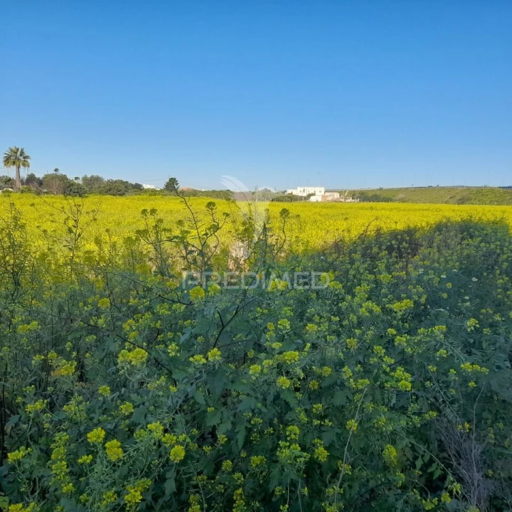 Terreno para Arrendamento em Faro (Sé e São Pedro) Foto 8