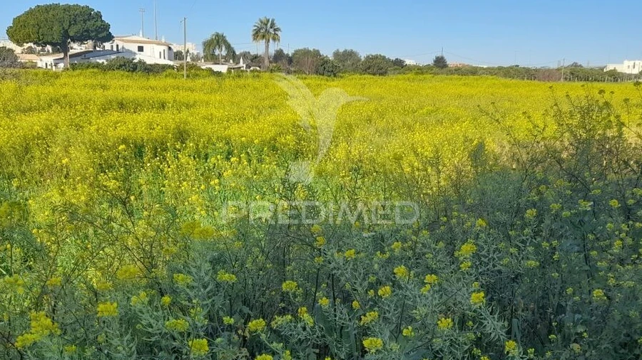 Terreno para Arrendamento em Faro (Sé e São Pedro)