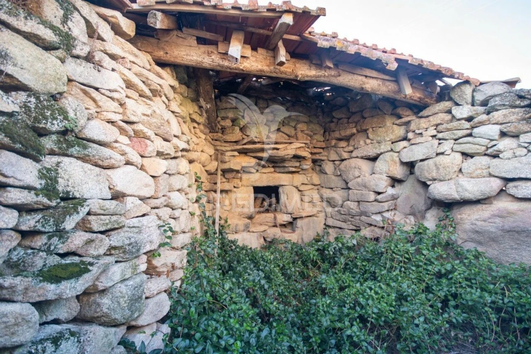 Moradia T3 para Venda em Trancoso (São Pedro e Santa Maria) e Souto Maior Foto 7