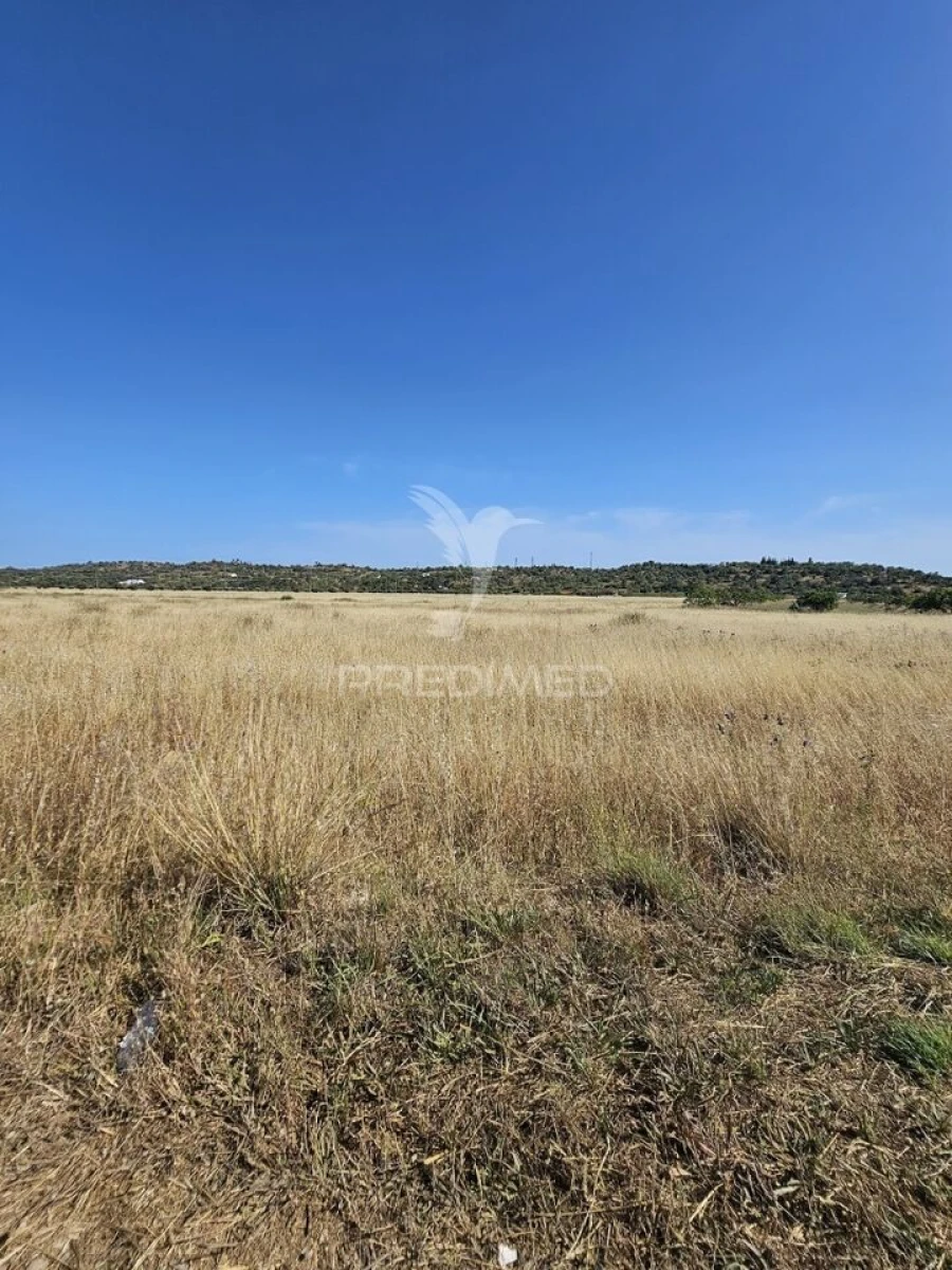 Terreno para Venda em Algoz e Tunes Foto 3