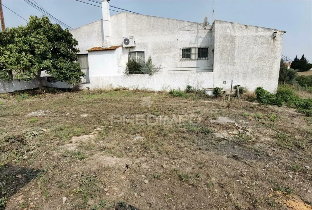 Loja para Venda em São Vicente do Paul e Vale de Figueira Foto 6