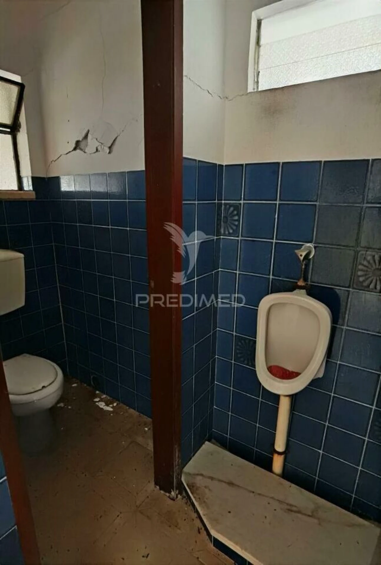 Loja para Venda em São Vicente do Paul e Vale de Figueira Foto 11