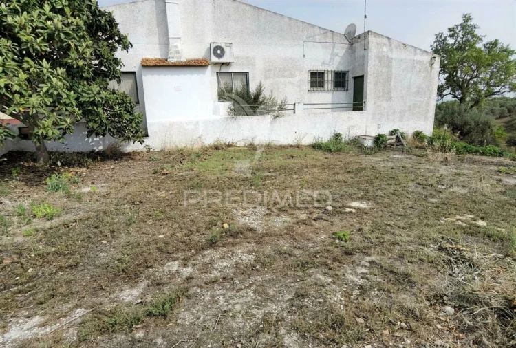 Loja para Venda em São Vicente do Paul e Vale de Figueira Foto 5