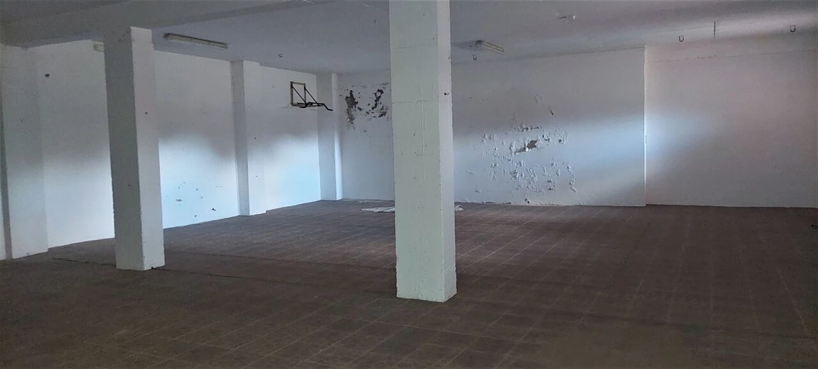 Prédio para Venda em Ponte de Sor, Tramaga e Vale de Açor Foto 22