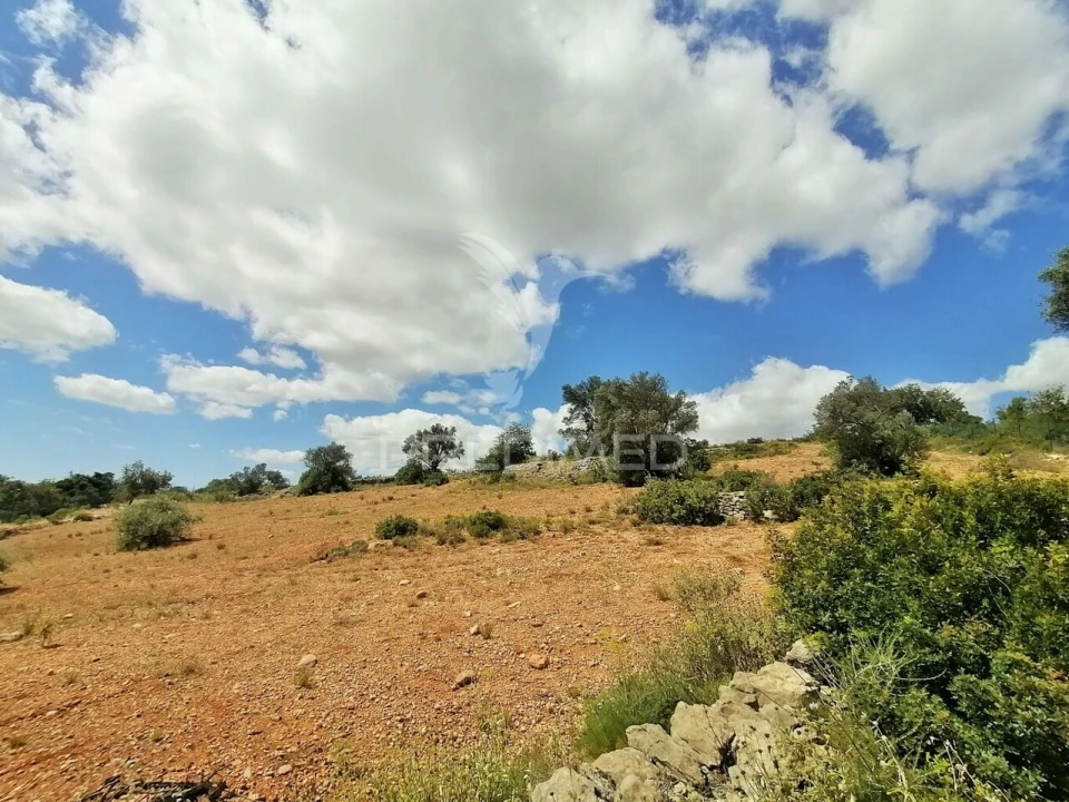 Terreno para Venda em Moncarapacho e Fuseta Foto 9