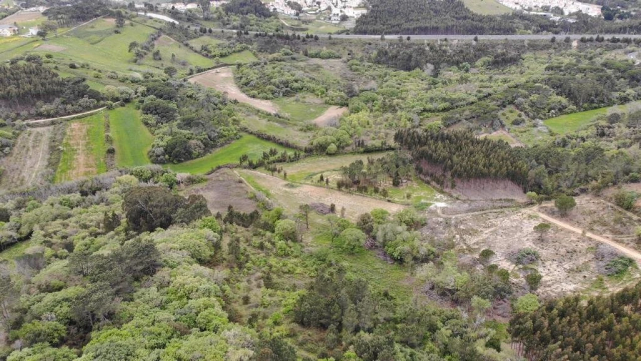 Terreno para Venda em Igreja Nova e Cheleiros Foto 16