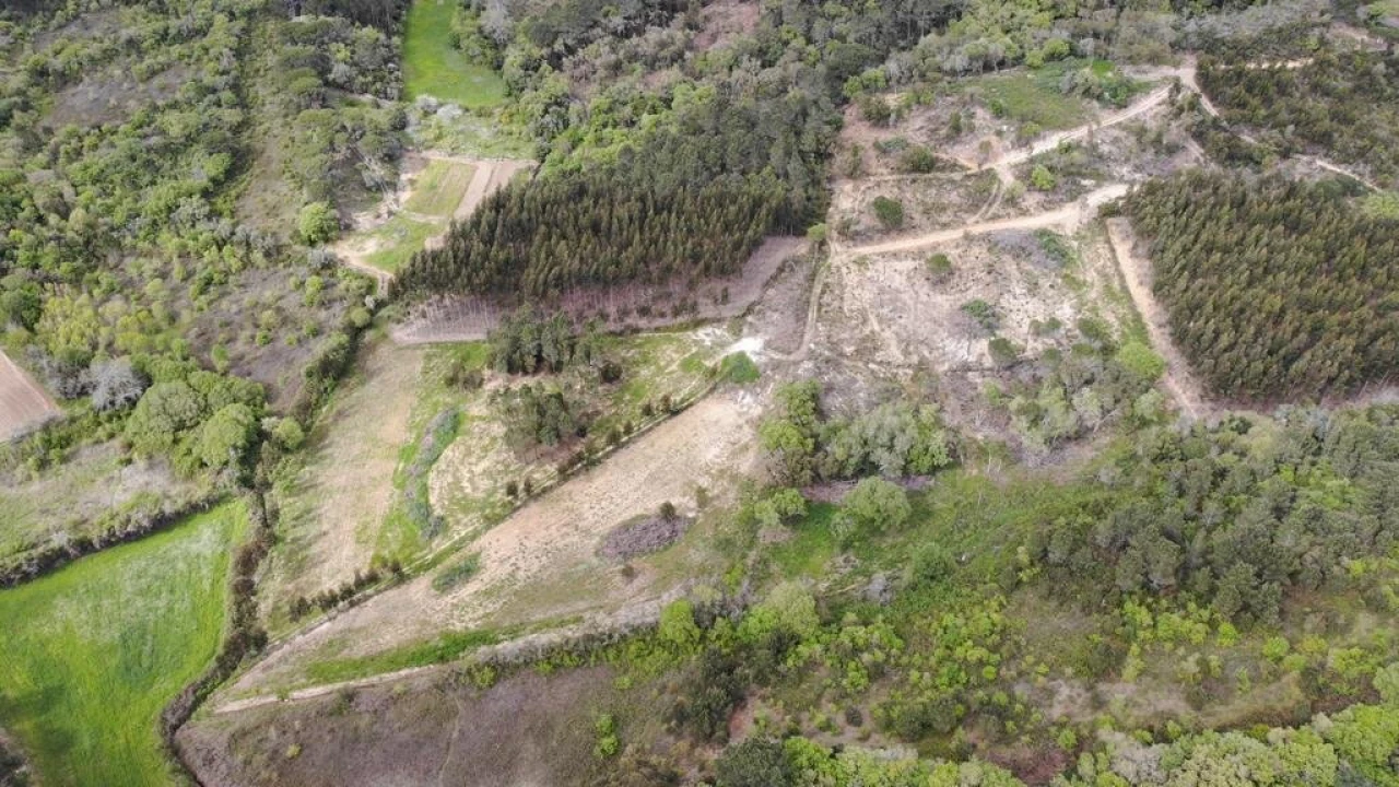 Terreno para Venda em Igreja Nova e Cheleiros Foto 17