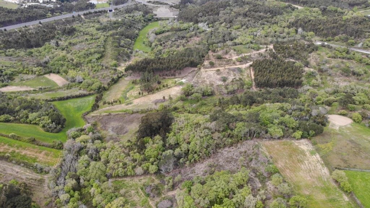 Terreno para Venda em Igreja Nova e Cheleiros Foto 22
