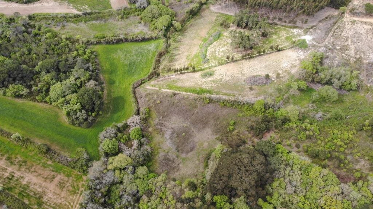 Terreno para Venda em Igreja Nova e Cheleiros Foto 23