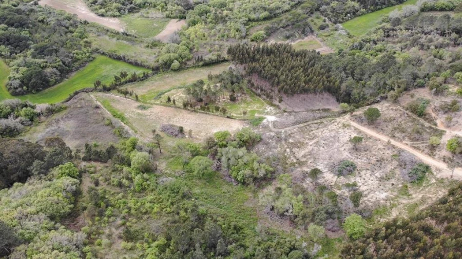 Terreno para Venda em Igreja Nova e Cheleiros Foto 20