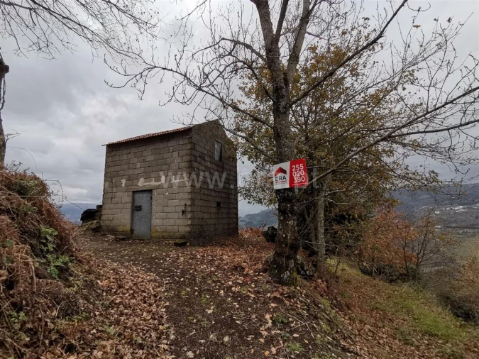 Terreno para Venda em Baião (Santa Leocádia) e Mesquinhata Foto 1