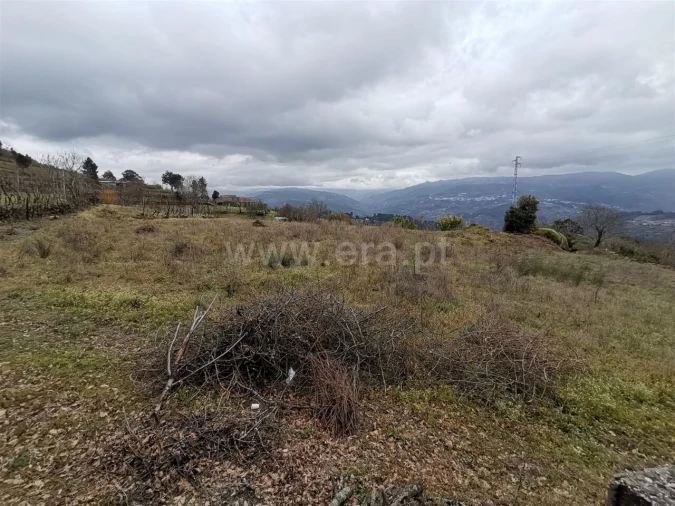 Terreno para Venda em Baião (Santa Leocádia) e Mesquinhata Foto 3