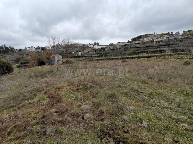 Terreno para Venda em Baião (Santa Leocádia) e Mesquinhata Foto 5