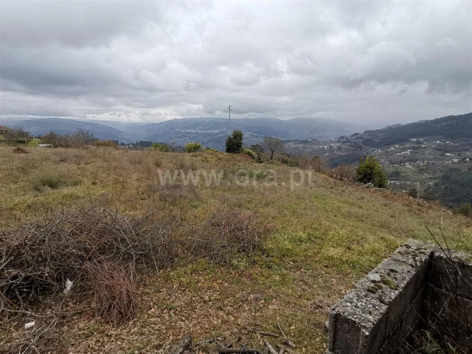 Terreno para Venda em Baião (Santa Leocádia) e Mesquinhata Foto 4