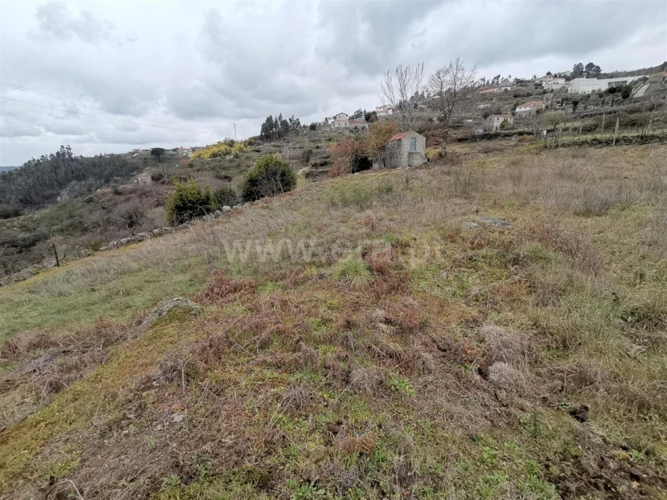 Terreno para Venda em Baião (Santa Leocádia) e Mesquinhata Foto 6