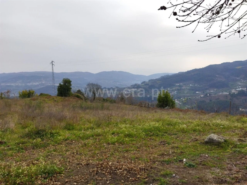 Terreno para Venda em Baião (Santa Leocádia) e Mesquinhata Foto 2