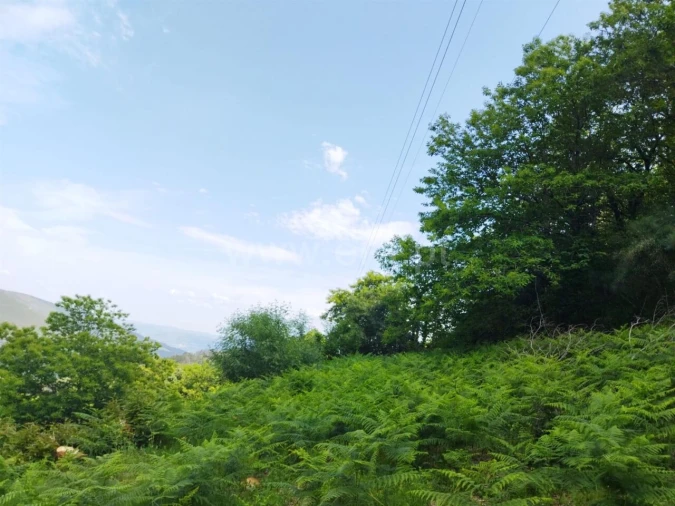 Terreno para Venda em Teixeira e Teixeiró Foto 3