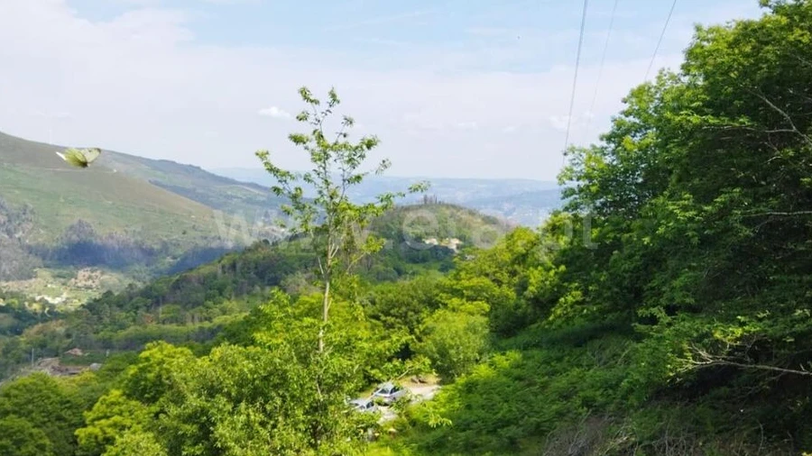 Terreno para Venda em Teixeira e Teixeiró