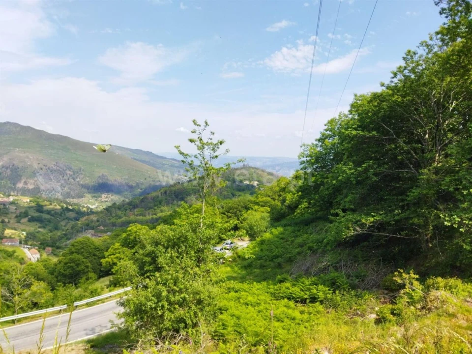 Terreno para Venda em Teixeira e Teixeiró Foto 1