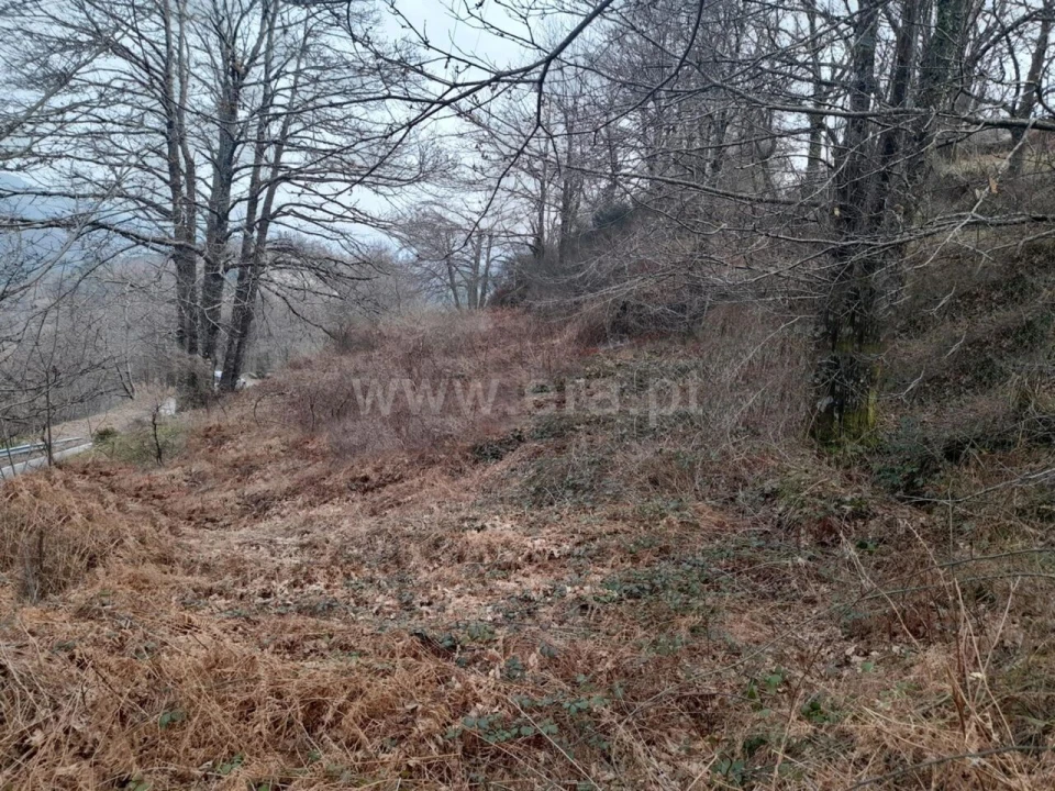 Terreno para Venda em Teixeira e Teixeiró Foto 4