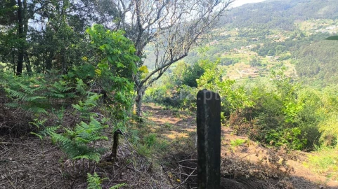 Terreno para Venda em Baião (Santa Leocádia) e Mesquinhata