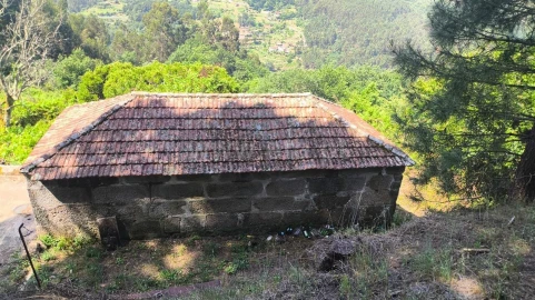Terreno para Venda em Baião (Santa Leocádia) e Mesquinhata