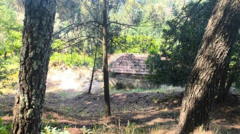 Terreno para Venda em Baião (Santa Leocádia) e Mesquinhata