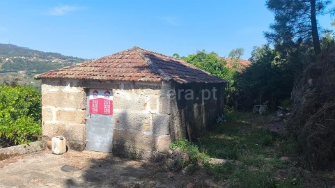 Terreno para Venda em Baião (Santa Leocádia) e Mesquinhata