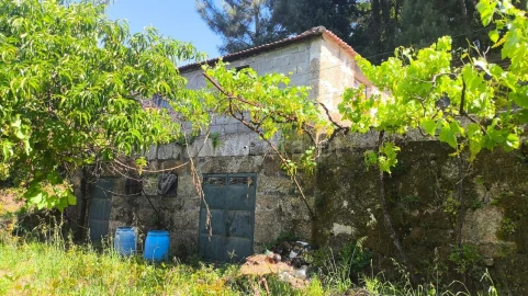 Terreno para Venda em Baião (Santa Leocádia) e Mesquinhata