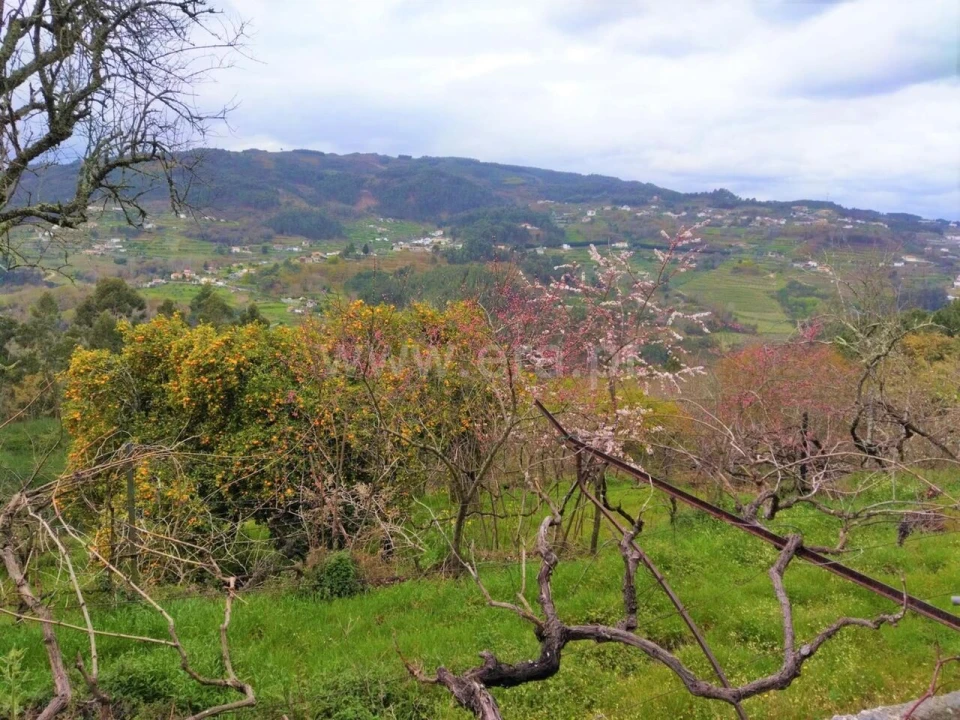 Terreno para Venda em Baião (Santa Leocádia) e Mesquinhata Foto 8