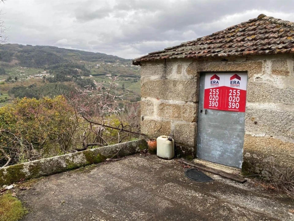 Terreno para Venda em Baião (Santa Leocádia) e Mesquinhata Foto 9